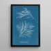 Rhodomela subfusca - Anna Atkins — ingelijst kunstwerk aan de muur