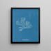 Rhodomenia palmata - Anna Atkins — ingelijst kunstwerk aan de muur