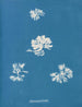 Schizonema grevillii - Anna Atkins — weergave van het kunstwerk