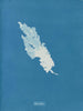 Ulva linza - Anna Atkins — weergave van het kunstwerk
