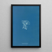 Reproductie van het schilderij Vaucheria racemosa - Anna Atkins