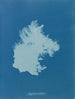 Zygnema gebogen - Anna Atkins — weergave van het kunstwerk