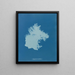Zygnema gebogen - Anna Atkins — ingelijst kunstwerk aan de muur