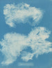 Dîmes de Zygnema - Anna Atkins — weergave van het kunstwerk