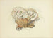 Illustraties van Britse mycologie Pl10 - Anna Maria Hussey — weergave van het kunstwerk