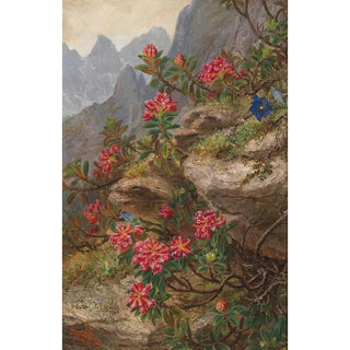 Anna StainerKnittel - Alpenblumen.webp