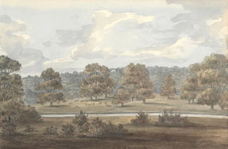 Anne Rushout - From Dining Room Window Wanstead Grove.webp