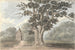 Het eikenhout van koningin Elizabeth bij Finborough Hall 31 juli 1824 - Anne Rushout — weergave van het kunstwerk
