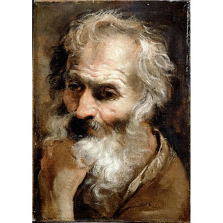 Annibale Carracci - Head of an Old Man.webp