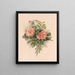 Rozen blush - Annie Nowell — ingelijst kunstwerk aan de muur