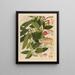 Chinese fruit watercolor album schilderij Pl05 - Anoniem — ingelijst kunstwerk aan de muur