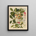Chinese fruit watercolor album schilderij Pl06 - Anoniem — ingelijst kunstwerk aan de muur