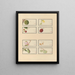 Chinese fruit watercolor album schilderij Pl28 - Anoniem — ingelijst kunstwerk aan de muur