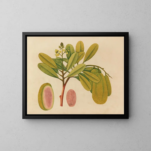 Album de aquarelles van Aziatische fruit- en bloemenschilderijen Pl01 - Anoniem — ingelijst kunstwerk aan de muur
