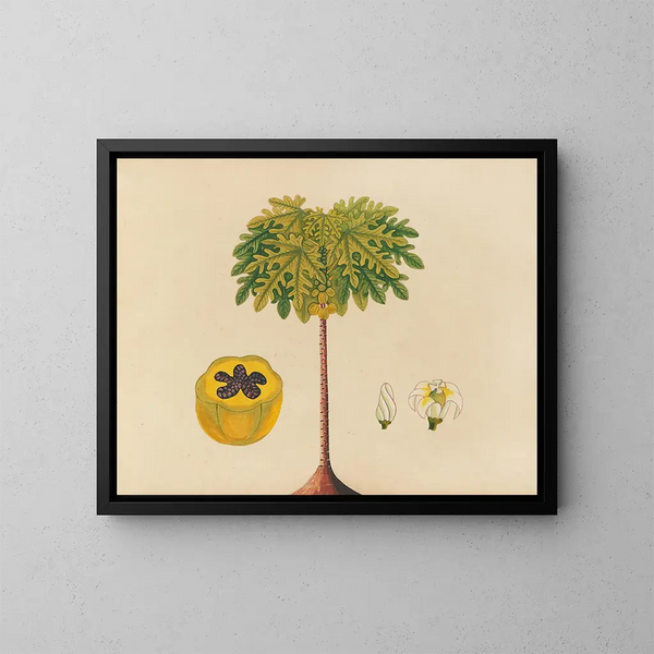 Album de aquarelles van Aziatische fruit- en bloemenschilderijen Pl02 - Anoniem — ingelijst kunstwerk aan de muur