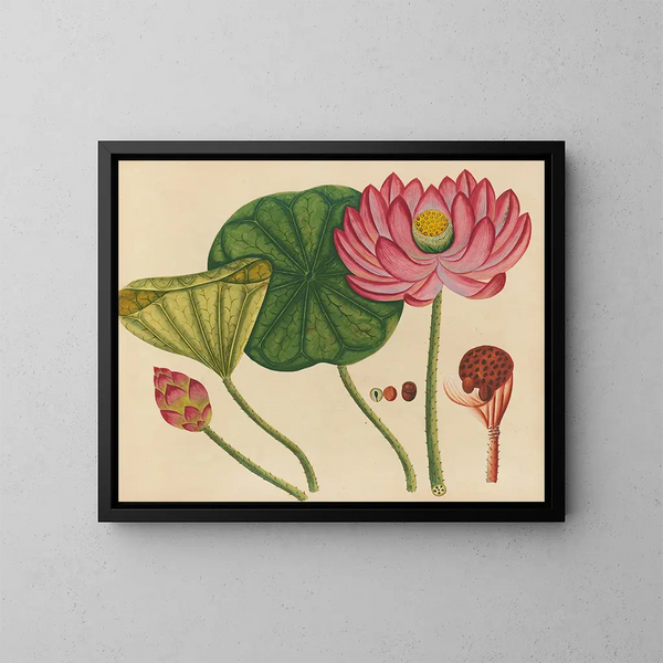 Album van aquarellen van Aziatische fruit en bloemen Pl12 - Anoniem — ingelijst kunstwerk aan de muur