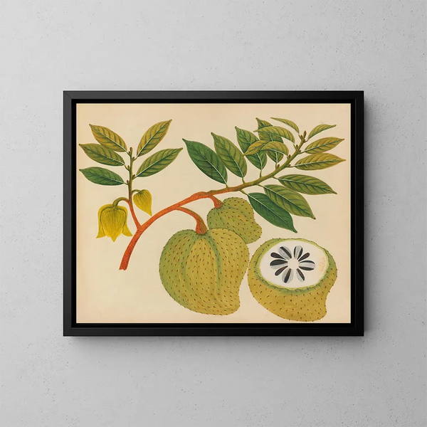 Album de aquarellen van Aziatische fruit- en bloemenschilderijen Pl20 - Anoniem — ingelijst kunstwerk aan de muur