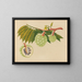 Album van aquarellen van Aziatische fruit en bloemen Pl22 - Anoniem — ingelijst kunstwerk aan de muur