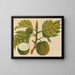 Album van aquarellen van Aziatische fruit en bloemen Pl30 - Anoniem — ingelijst kunstwerk aan de muur