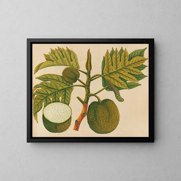 Album van aquarellen van Aziatische fruit en bloemen Pl30 - Anoniem — ingelijst kunstwerk aan de muur