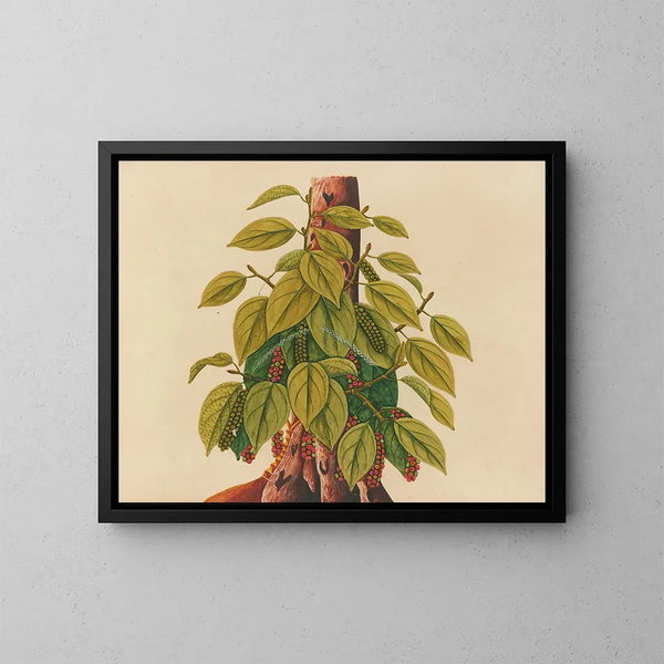 Album van aquarellen van Aziatische fruit en bloemen Pl34 - Anoniem — ingelijst kunstwerk aan de muur