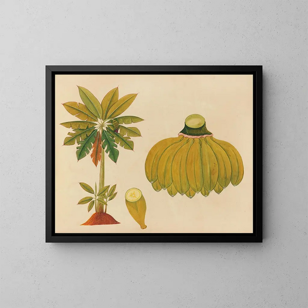 Album van aquarellen van Aziatische fruit en bloemmotieven Pl36 - Anoniem — ingelijst kunstwerk aan de muur