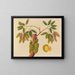 Album van aquarellen van Aziatische fruit en bloemen Pl38 - Anoniem — ingelijst kunstwerk aan de muur