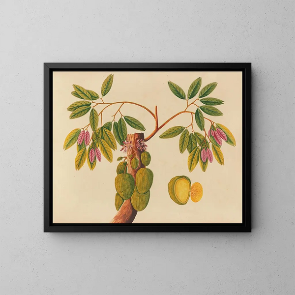 Album van aquarellen van Aziatische fruit en bloemen Pl38 - Anoniem — ingelijst kunstwerk aan de muur