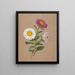 Asters - Anoniem — ingelijst kunstwerk aan de muur