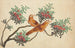 Vogels van China - Anoniem — weergave van het kunstwerk