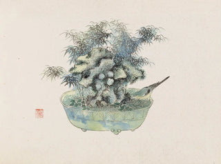 Anonymous - Bonsai kabenzu Pl18.webp