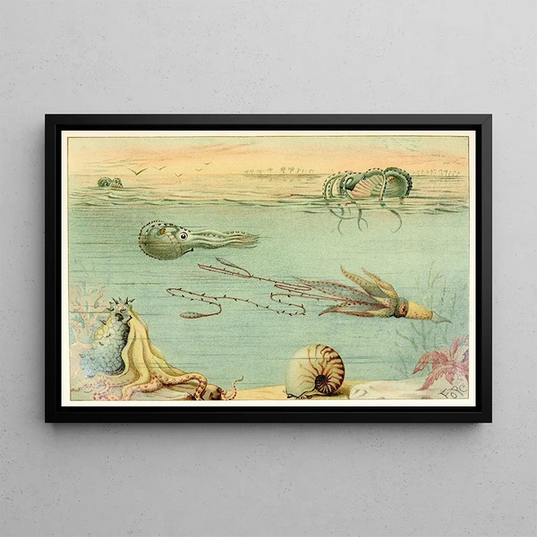 Anonymous - Cephalopoda.webp