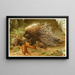 Egel met kam - Anoniem — ingelijst kunstwerk aan de muur