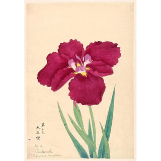 Anonymous - Enjoyment in Peace Taiheiraku.webp
