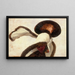 Vrouw met sjaal - Anoniem — ingelijst kunstwerk aan de muur