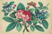 Groot Rood Bloemen Bloemen Blauwe Vlinder - Anoniem — weergave van het kunstwerk
