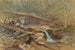 Vijver in het bos - Anoniem — weergave van het kunstwerk