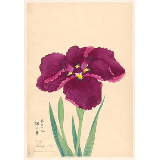 Anonymous - Sword Dance Tsurugi no Mai.webp