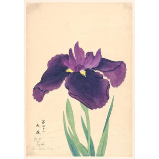 Anonymous - The Still Pool Oyodo.webp