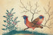 Twee vogels die op fazanten lijken met bloeiende planten - Anoniem — weergave van het kunstwerk