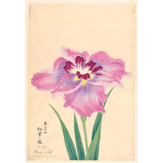 Anonymous - Waterfall of Maples Momiji no Taki.webp