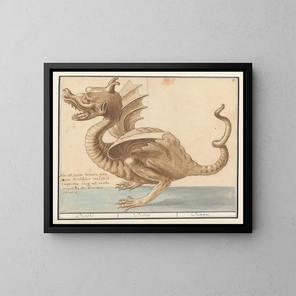 Draak - Anselmus Botius de Boodt — ingelijst kunstwerk aan de muur