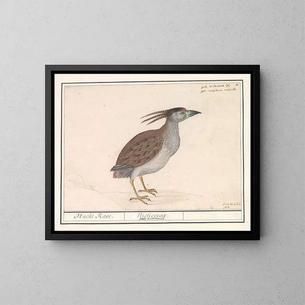 Heron grijs kunstdruk - Anselmus Botius de Boodt — ingelijst kunstwerk aan de muur