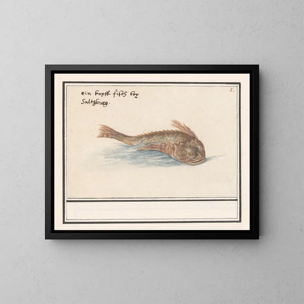 Vreemdvis Poisson - Anselmus Botius de Boodt — ingelijst kunstwerk aan de muur