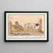 Mouton sauvage Ovis et chèvre africaine Capra 1 Mouton arabe 2 Bélier africain - Anselmus Botius de Boodt — ingelijst kunstwerk aan de muur