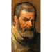 Hoofdhuid van een baardige man - Antoine van Dyck — weergave van het kunstwerk