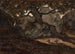 van Twee herten rustend in het Fontainebleau-bos - Antoine-Louis Barye — weergave van het kunstwerk