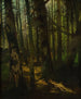 Bosaanplanting - Anton Müller-Wischin — weergave van het kunstwerk