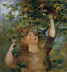 Meisje plukkend appels - Anton Romako — weergave van het kunstwerk