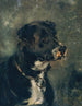 Hoofd van een slagershond Hoofd van een hond - Anton Romako — weergave van het kunstwerk